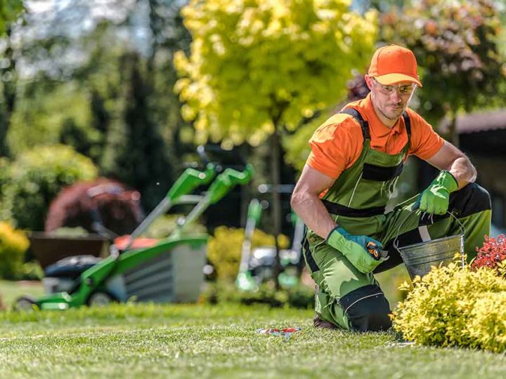 How to Become an Amazing Landscaper